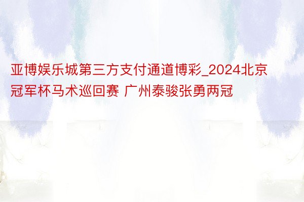 亚博娱乐城第三方支付通道博彩_2024北京冠军杯马术巡回赛 广州泰骏张勇两冠